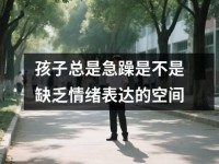 孩子总是急躁是不是缺乏情绪表达的空间